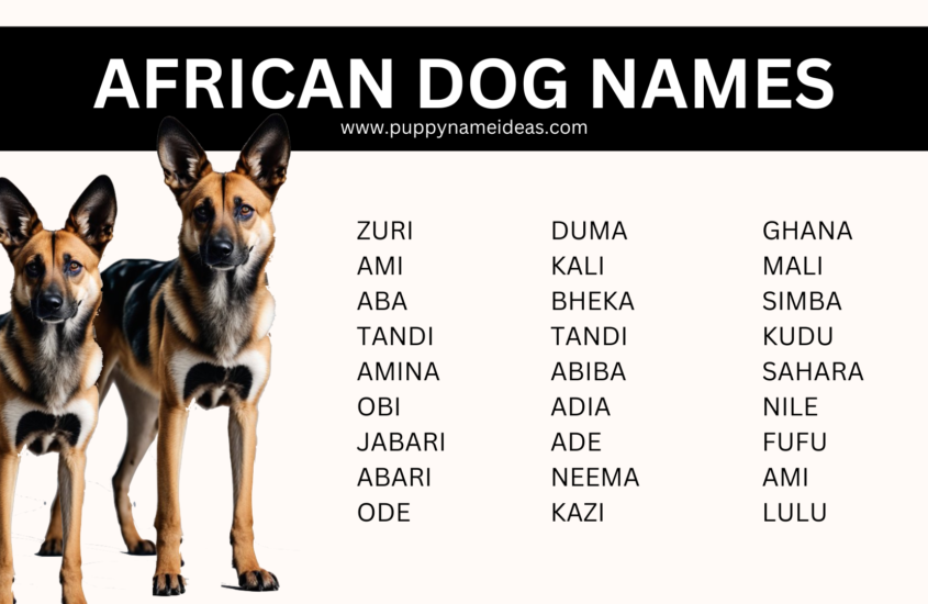 180+ African Dog Names (With Meanings)