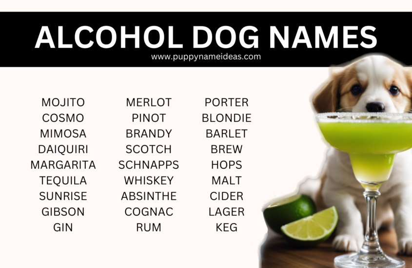 130+ Alcohol Dog Names