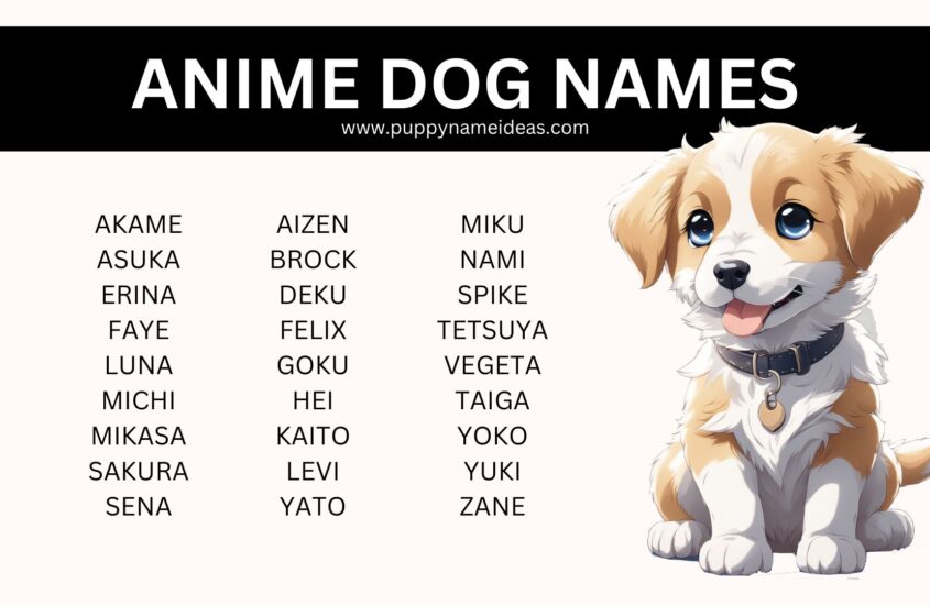 145+ Anime Dog Names