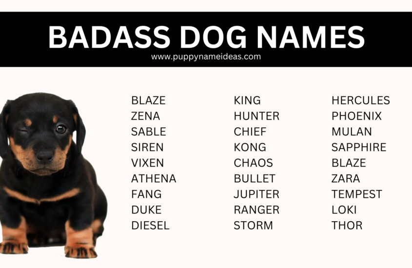 160+ Badass Dog Names