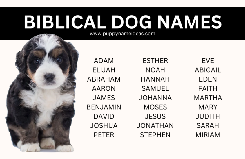 100+ Biblical Dog Names