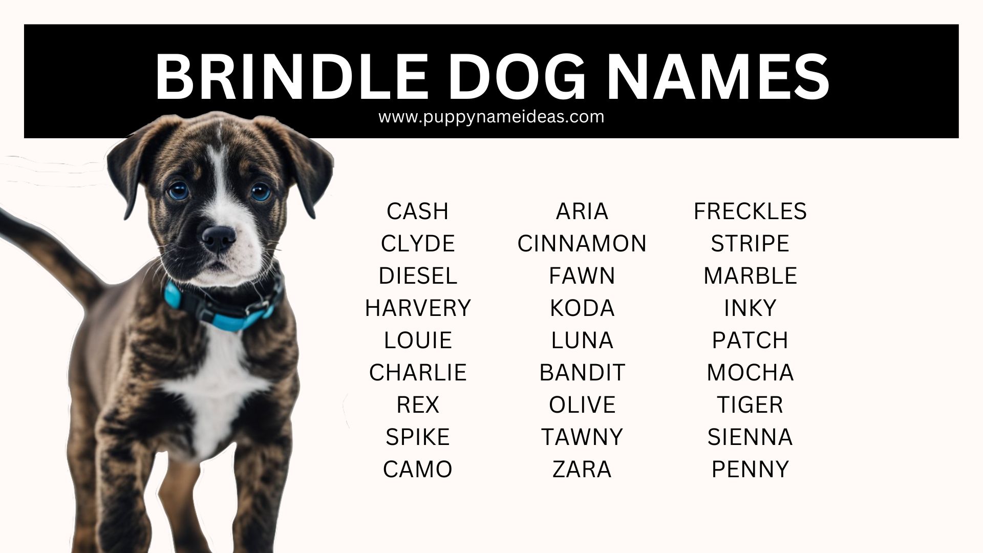 180+ Brindle Dog Names - Puppy Name Ideas