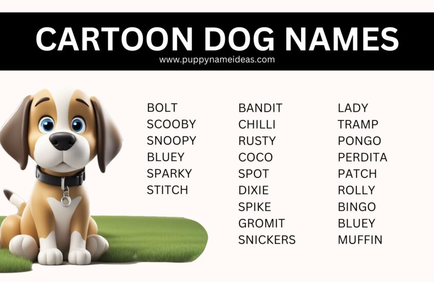 180+ Cartoon Dog Names