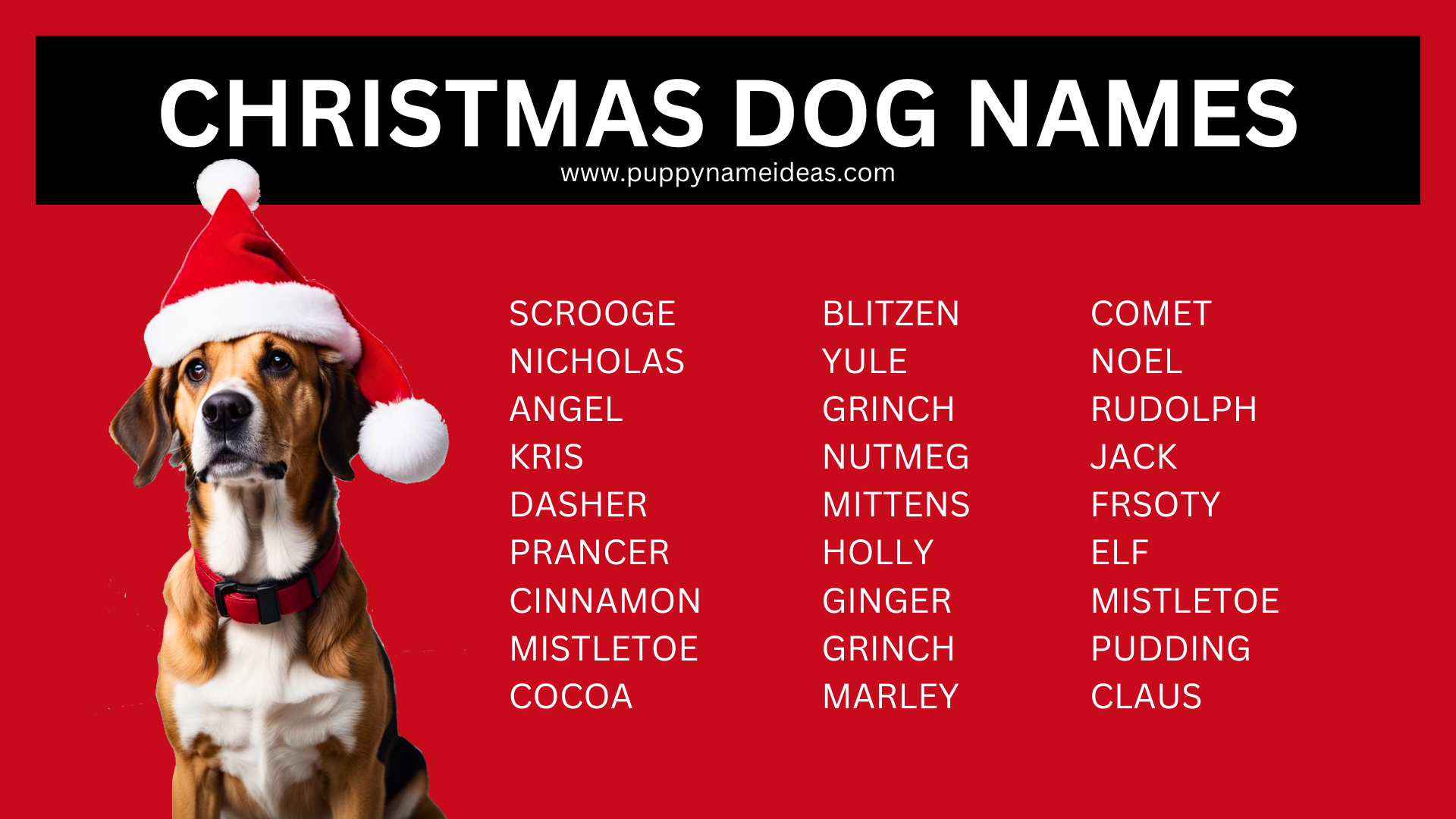 200+ Christmas Dog Names - Puppy Name Ideas