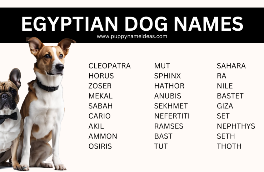 90+ Egyptian Dog Names (With Meanings)