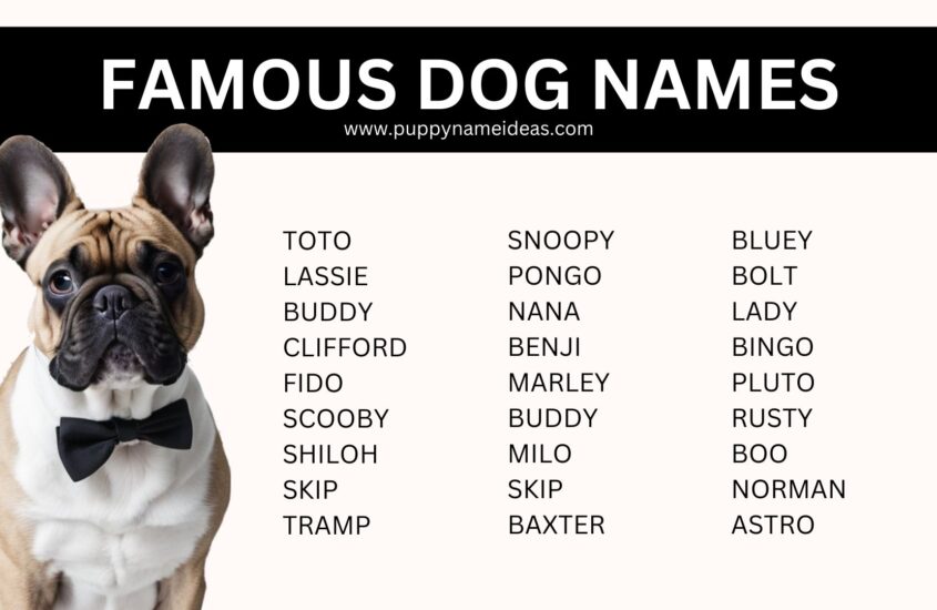 95+ Famous Dog Names