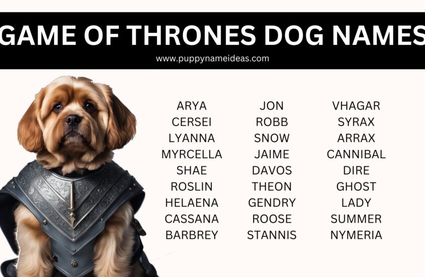 175+ Game of Thrones Dog Names