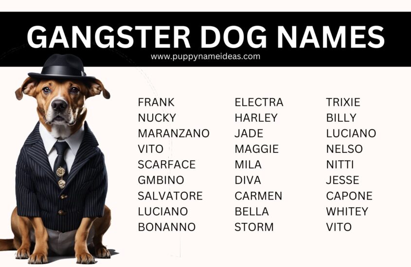 125+ Gangster Dog Names