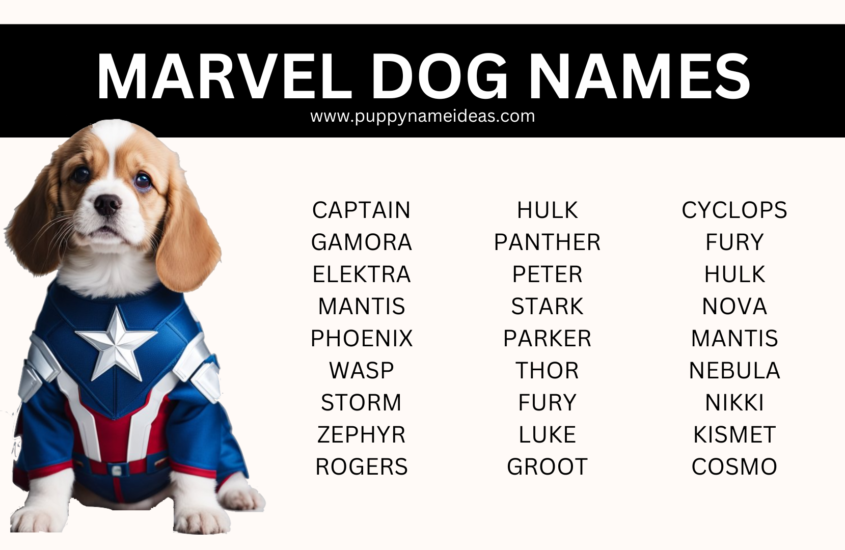 180+ Marvel Dog Names