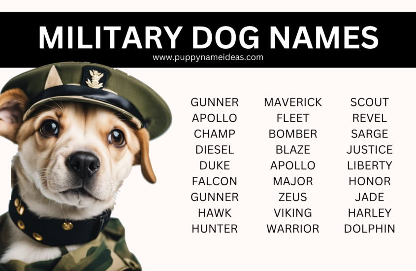 185+ Military Dog Names