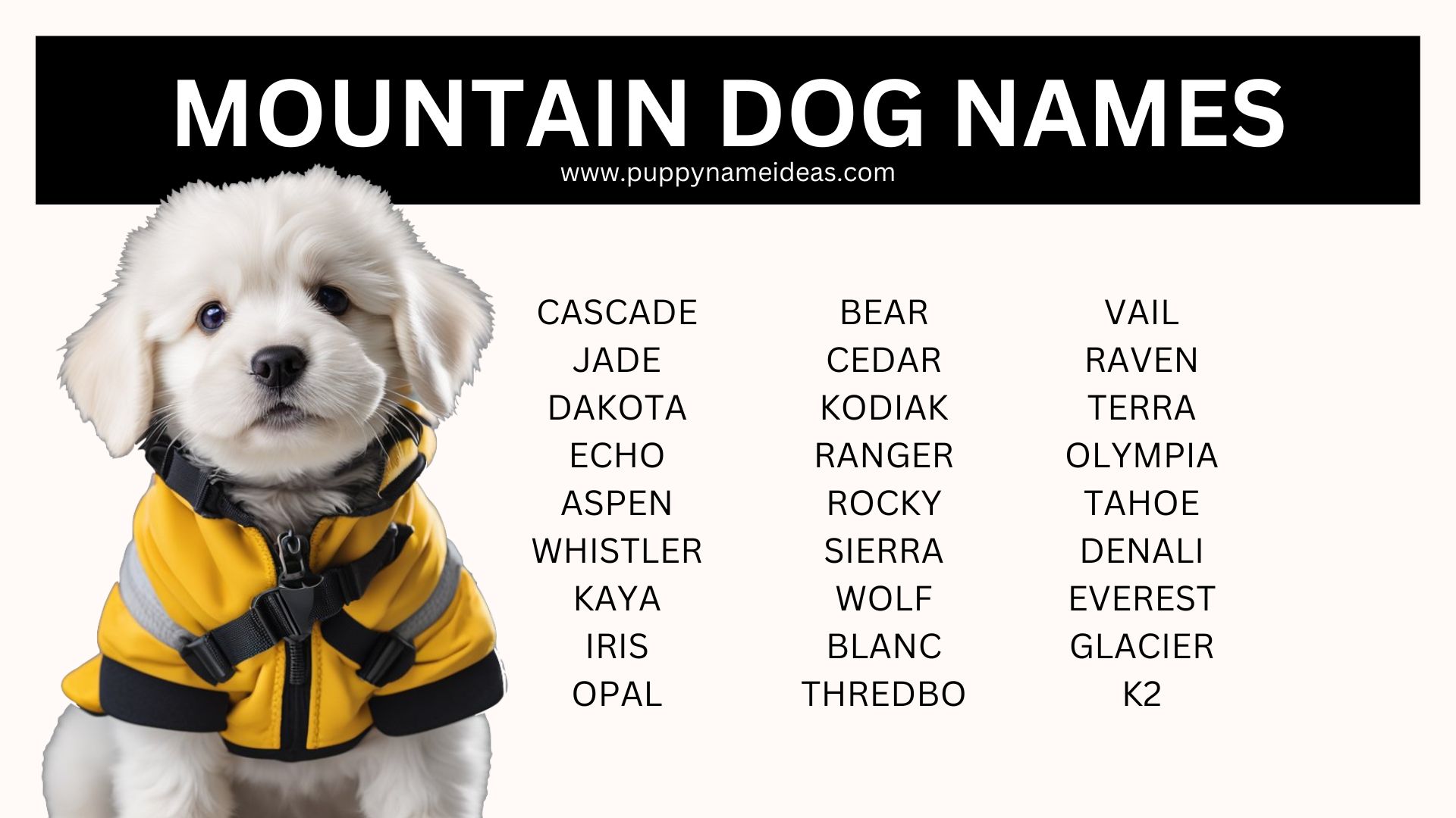 200+ Mountain Dog Names - Puppy Name Ideas