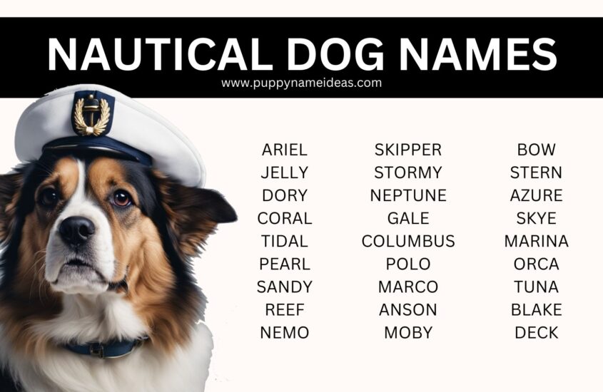 190+ Nautical Dog Names