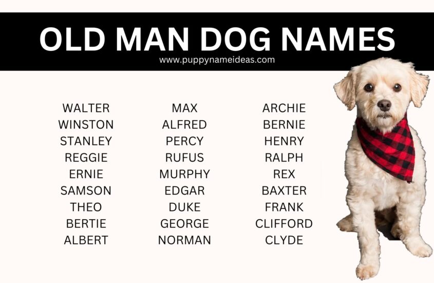 90+ Old Man Dog Names