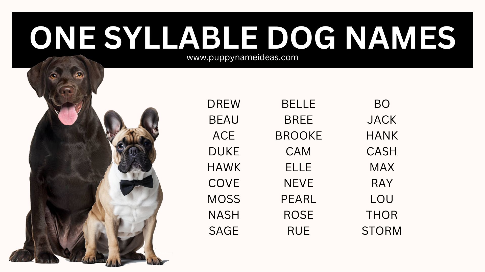 130+ One-Syllable Dog Names - Puppy Name Ideas