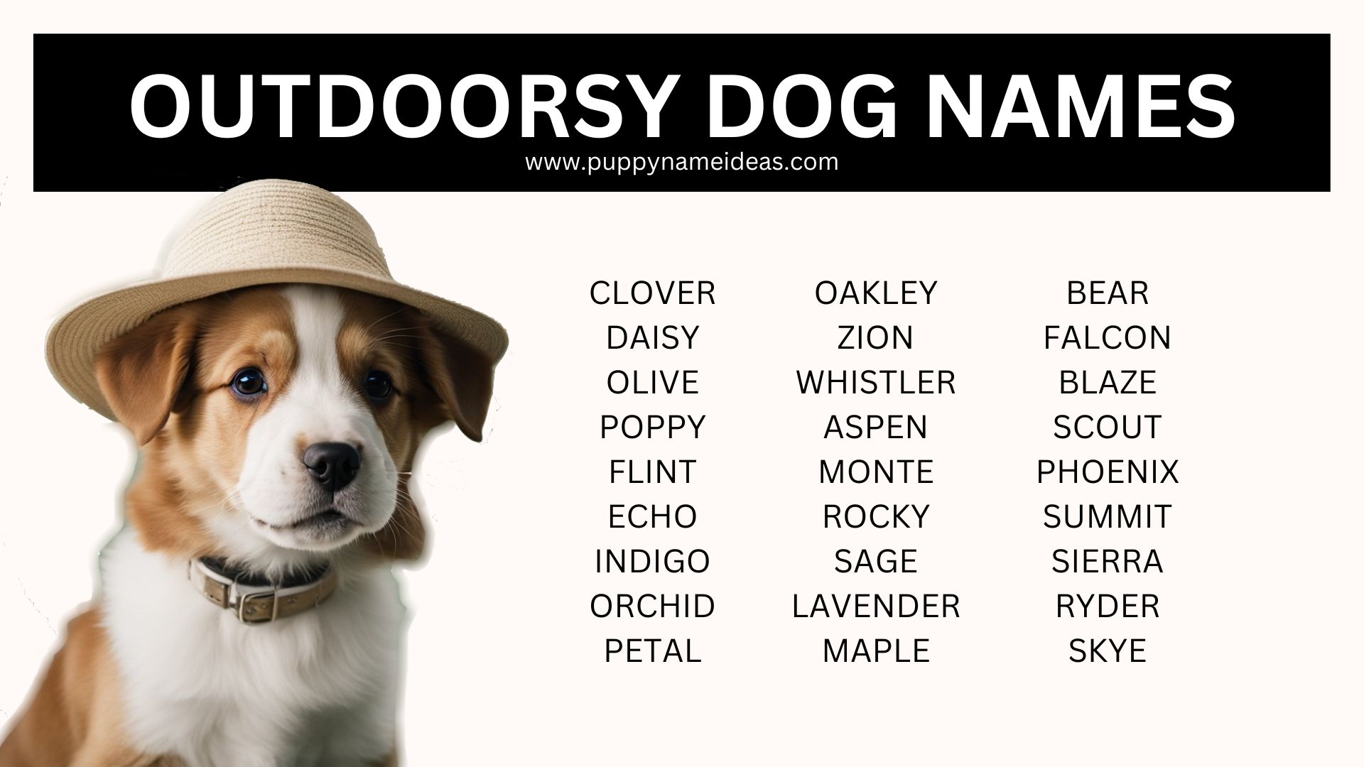 285 Outdoorsy Dog Names Puppy Name Ideas
