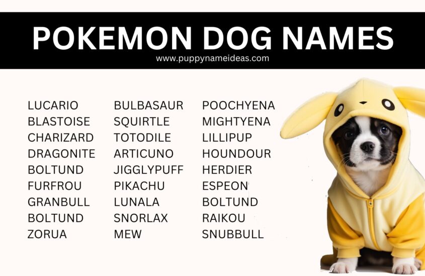 105+ Pokemon Dog Names