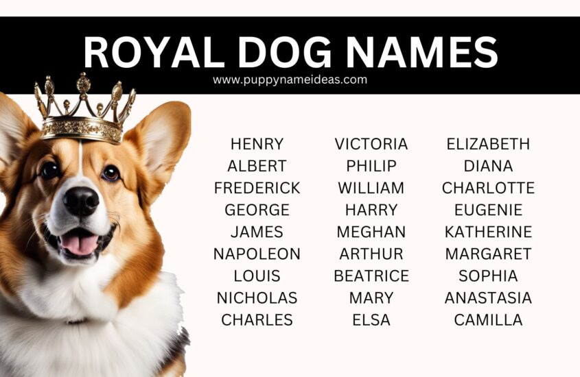 150+ Royal Dog Names