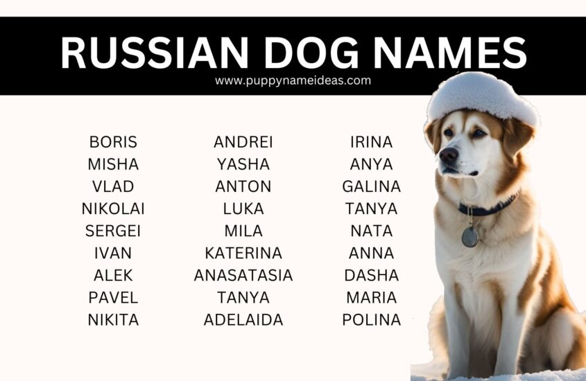 130+ Russian Dog Names