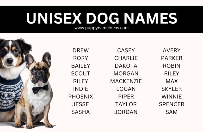 100+ Unisex Dog Names (With Meanings)