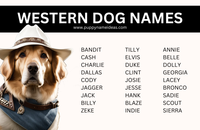 120+ Western Dog Names