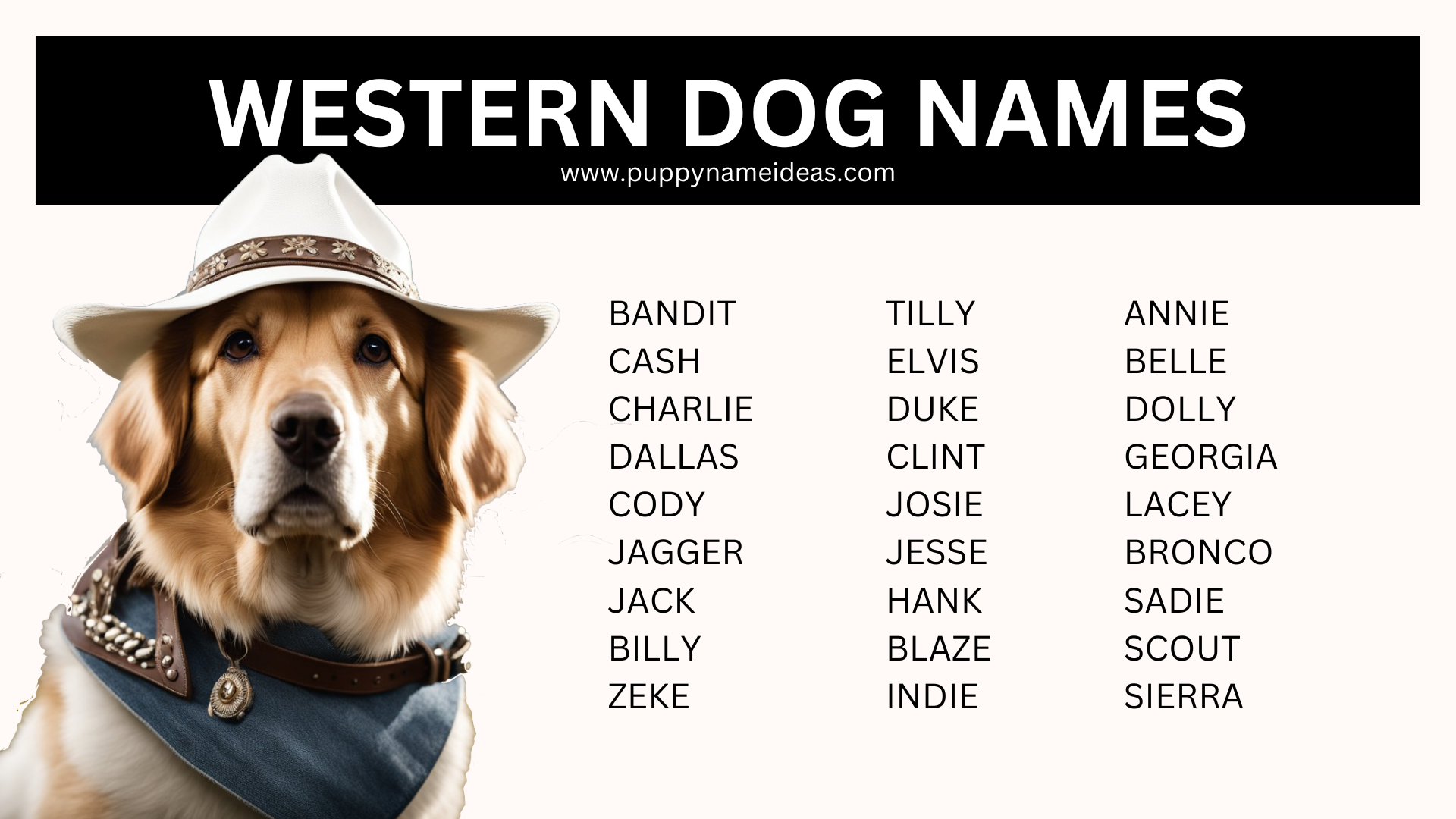 120+ Western Dog Names - Puppy Name Ideas