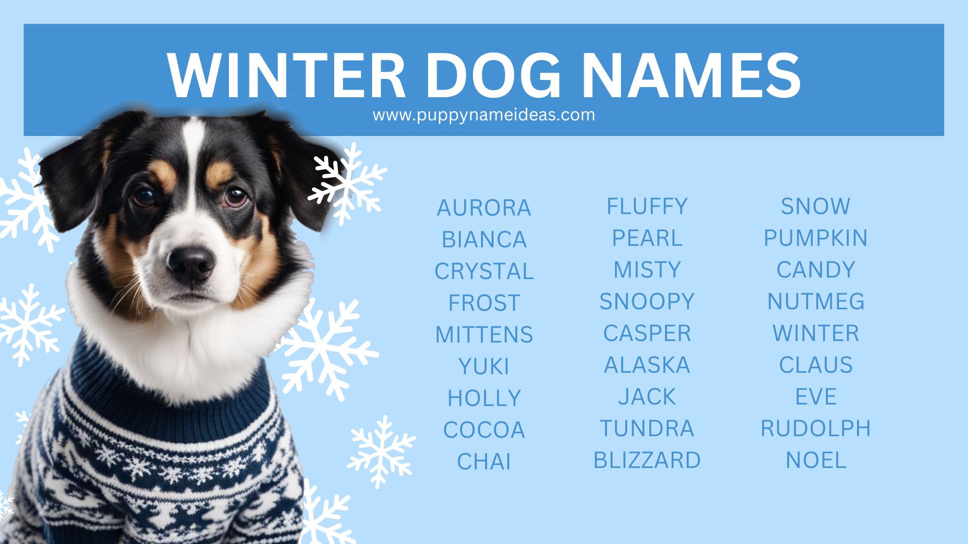 140+ Winter Dog Names