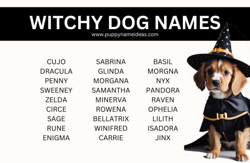 130+ Witchy Dog Names