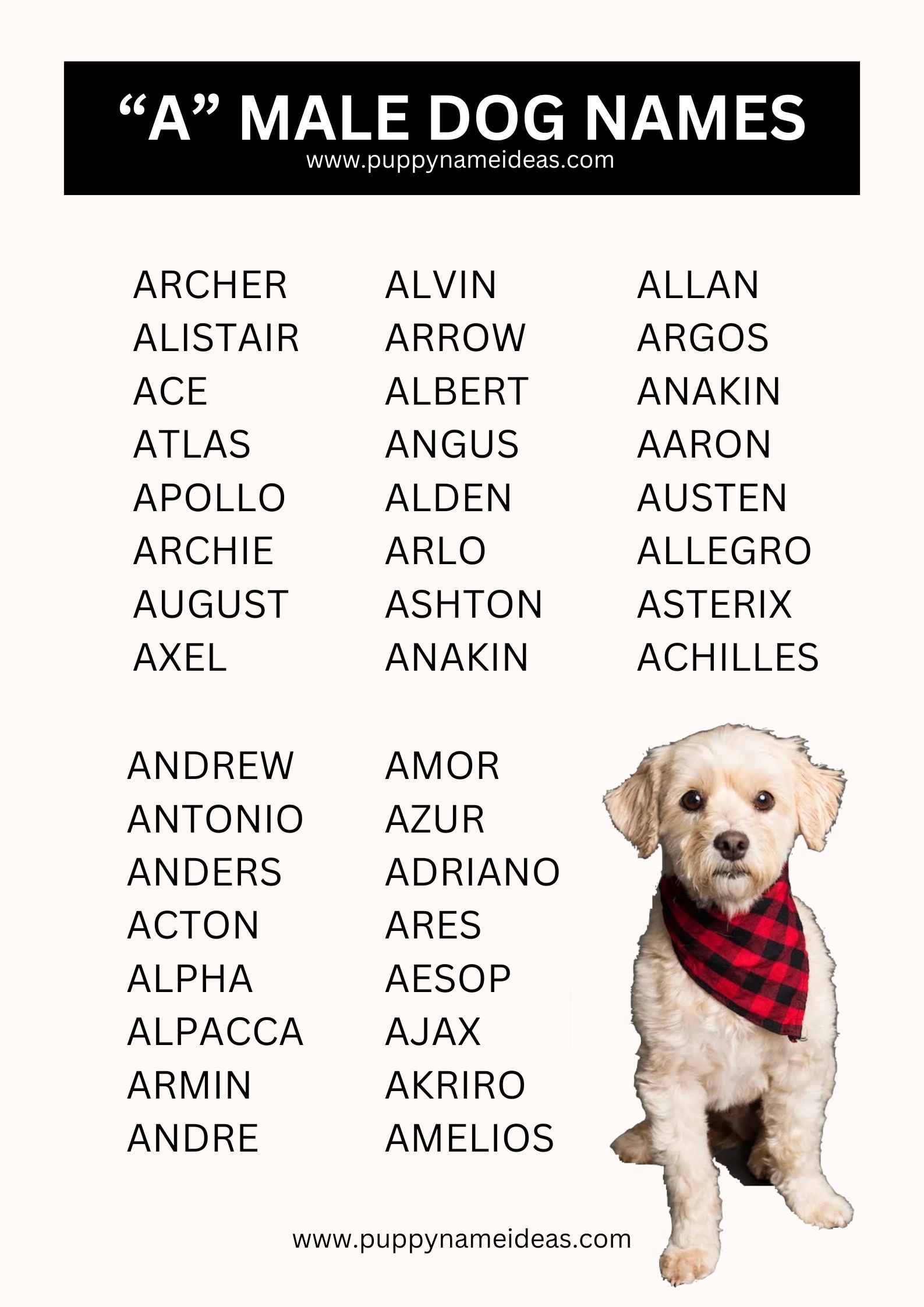 list of boy dog names that start with A
