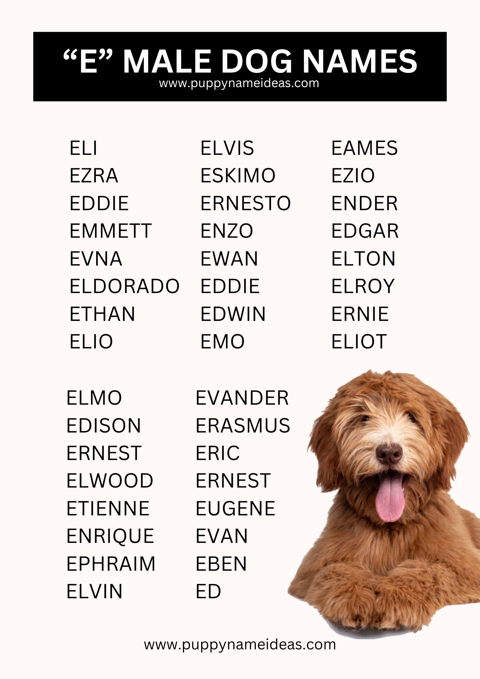 list of boy dog names that start with E