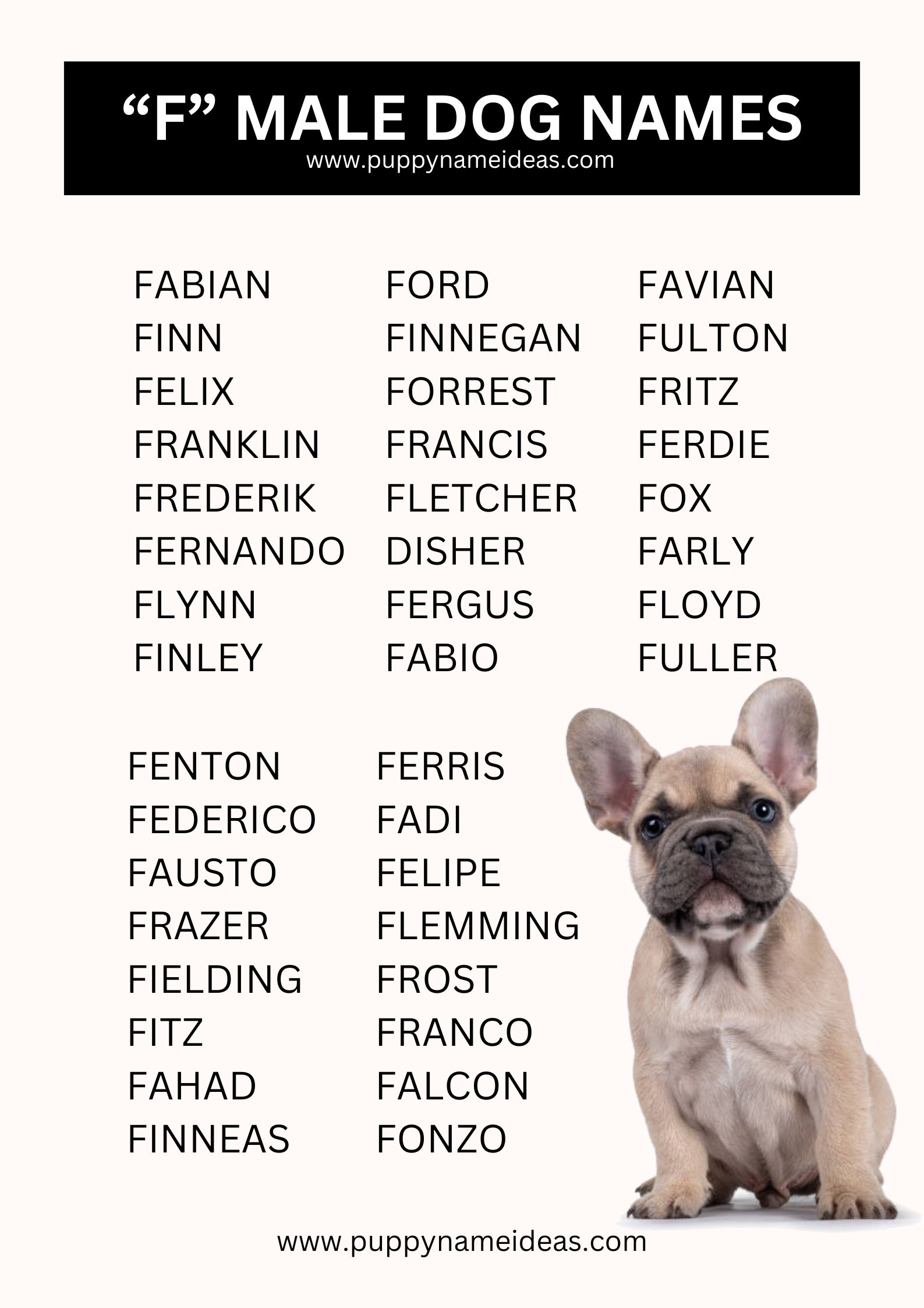 list of boy dog names that start with F