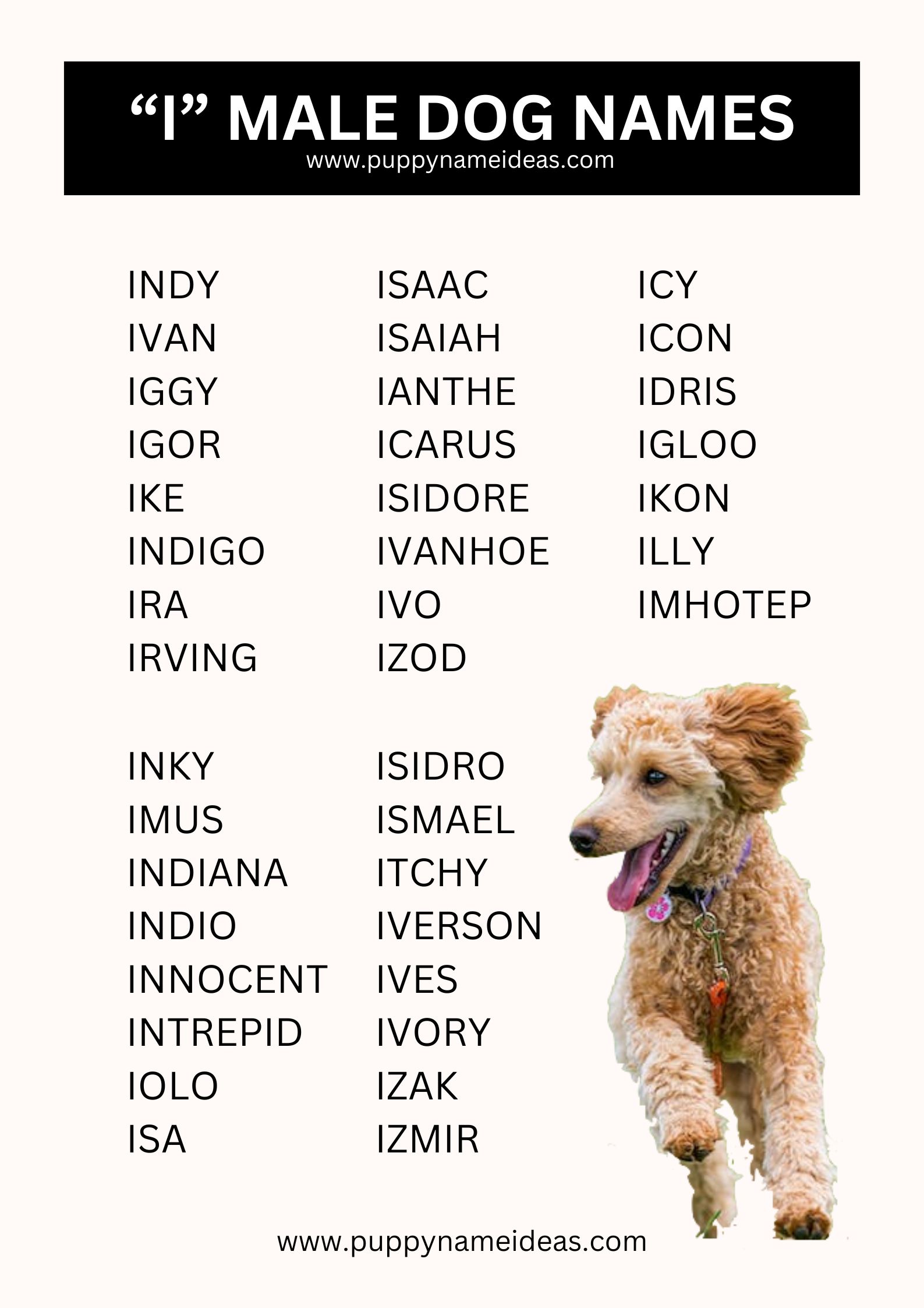 list of boy dog names that start with I