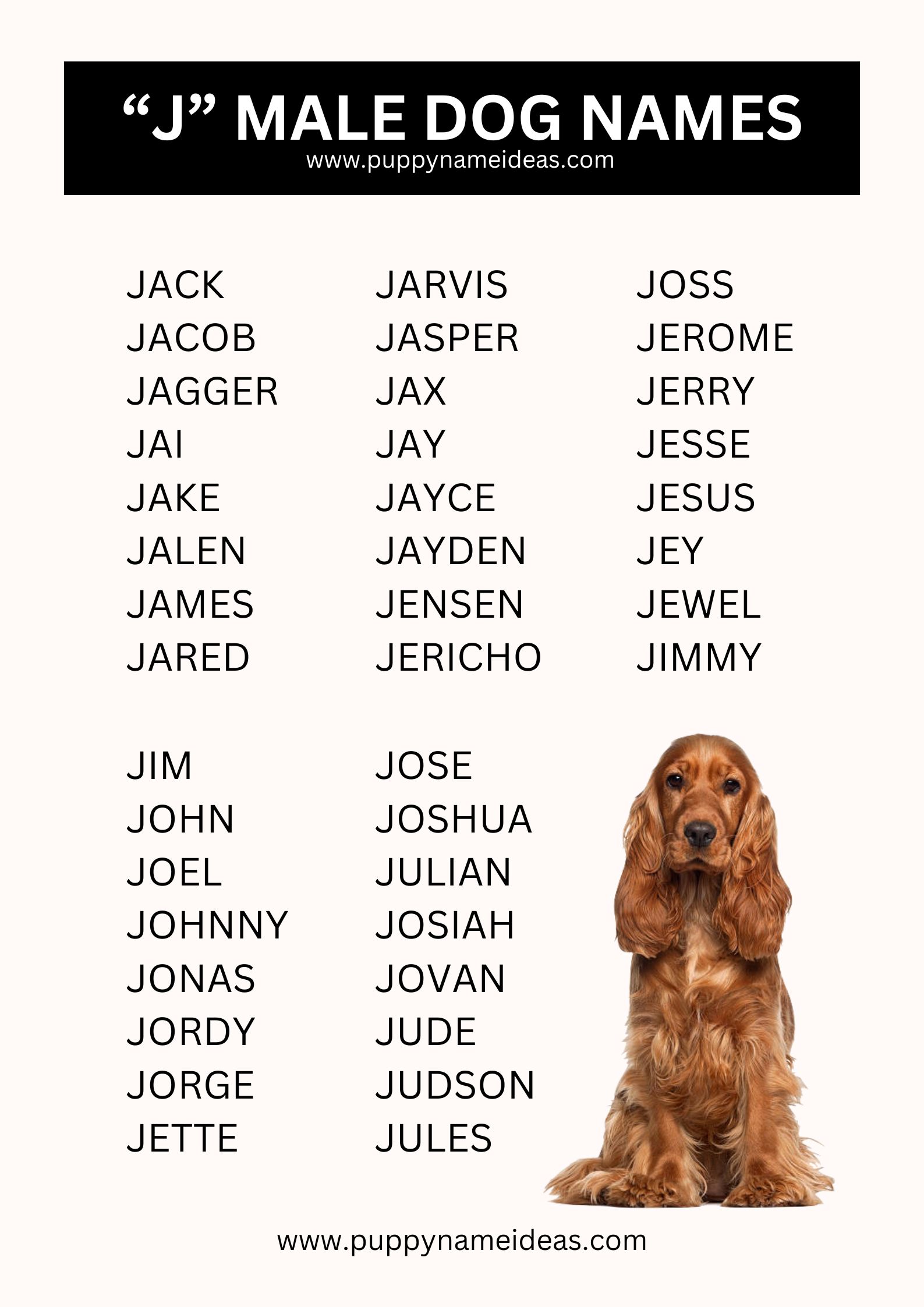 list of boy dog names that start with J
