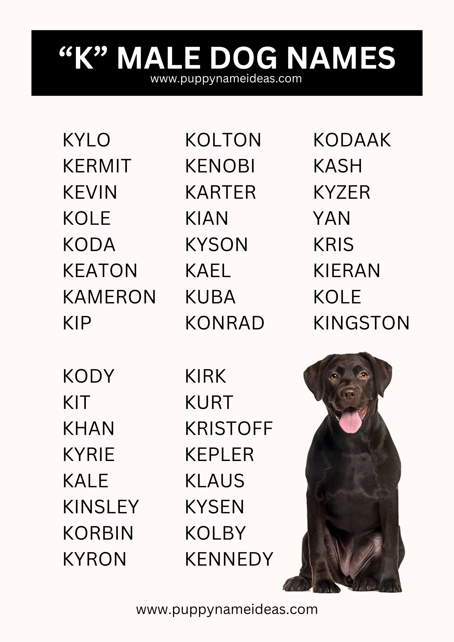 List Of Boy Dog Names That Start With K