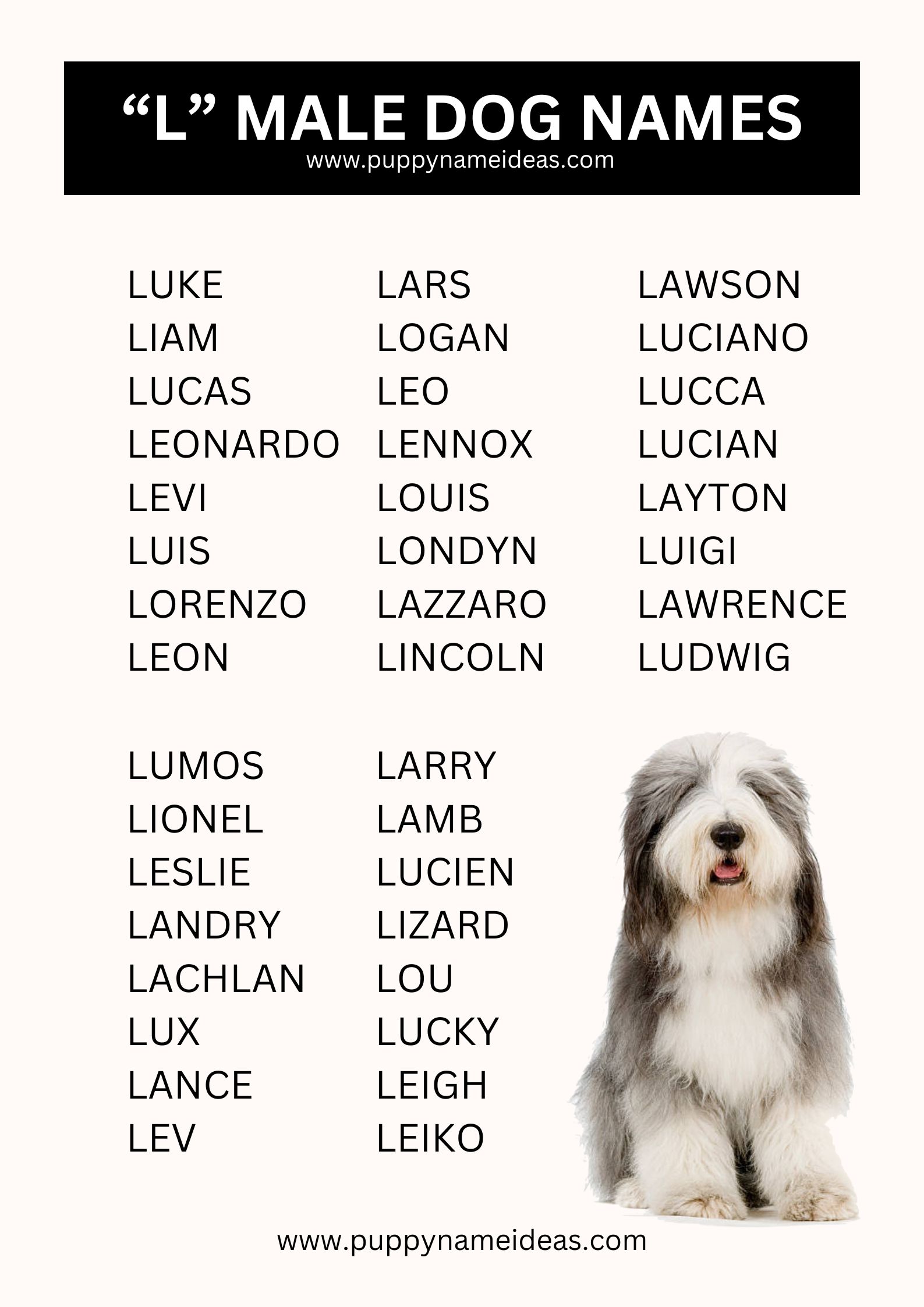 list of boy dog names that start with L