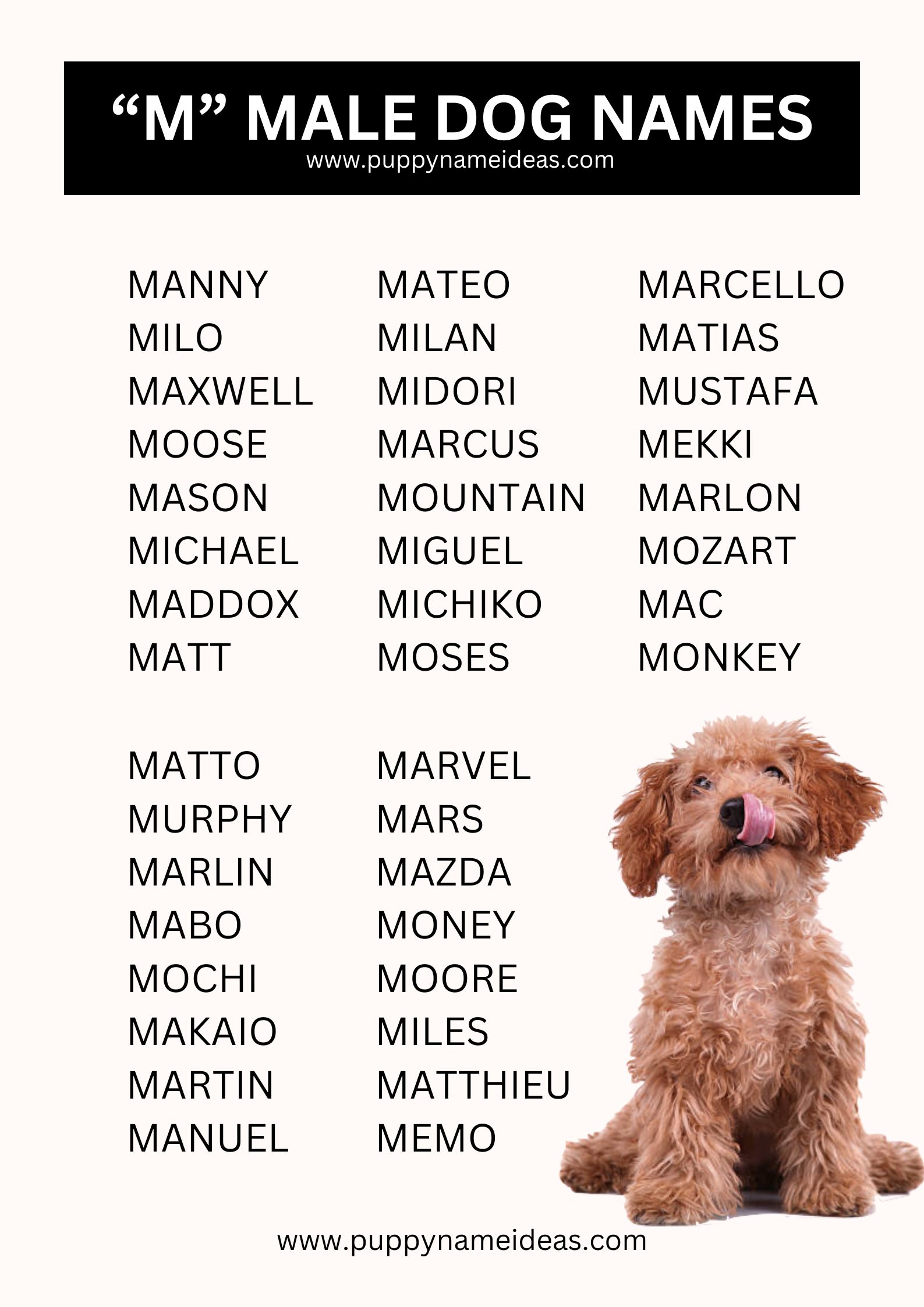 List Of Boy Dog Names That Start With M
