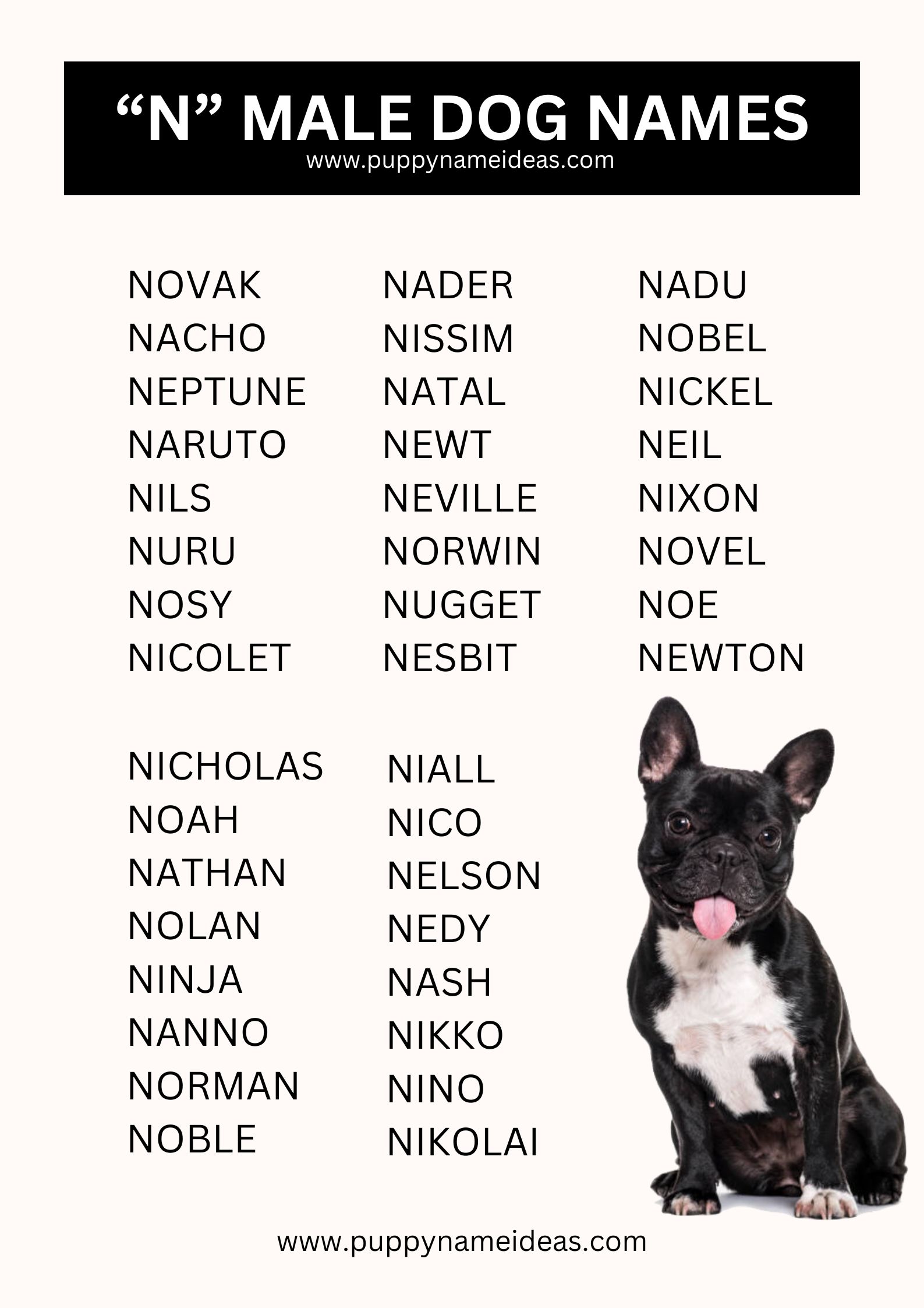List Of Boy Dog Names That Start With N