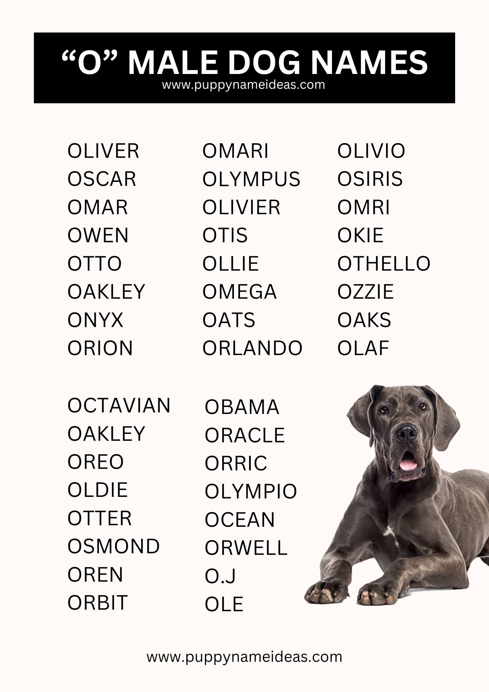 List Of Boy Dog Names That Start With O