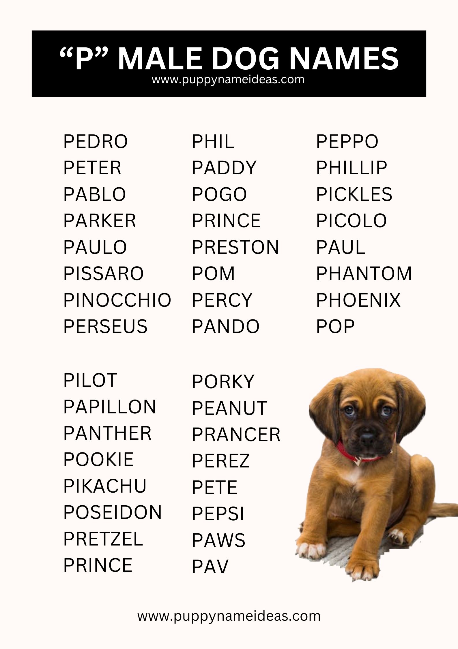 List Of Boy Dog Names That Start With P