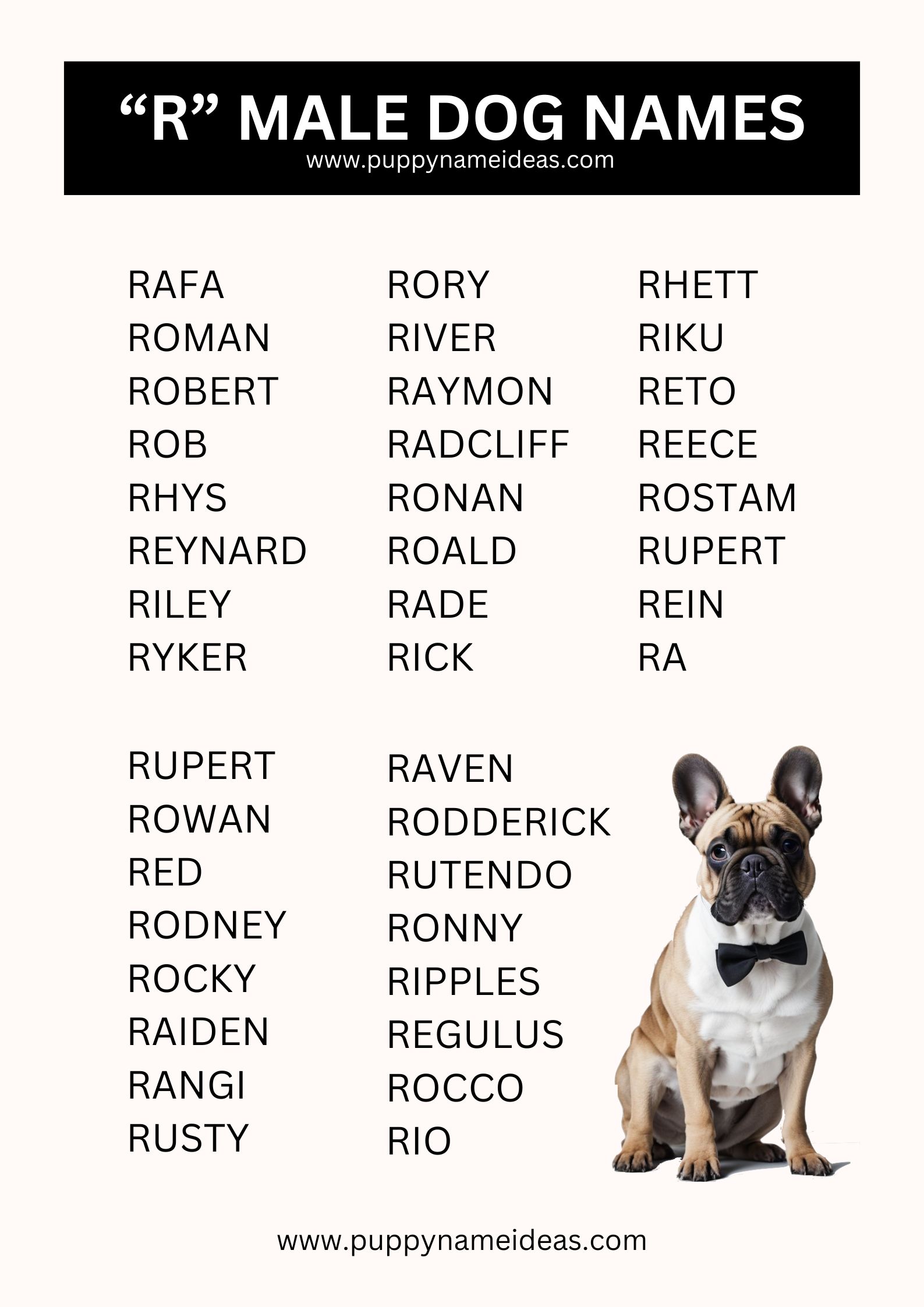 Boy Dog Names That Start With R