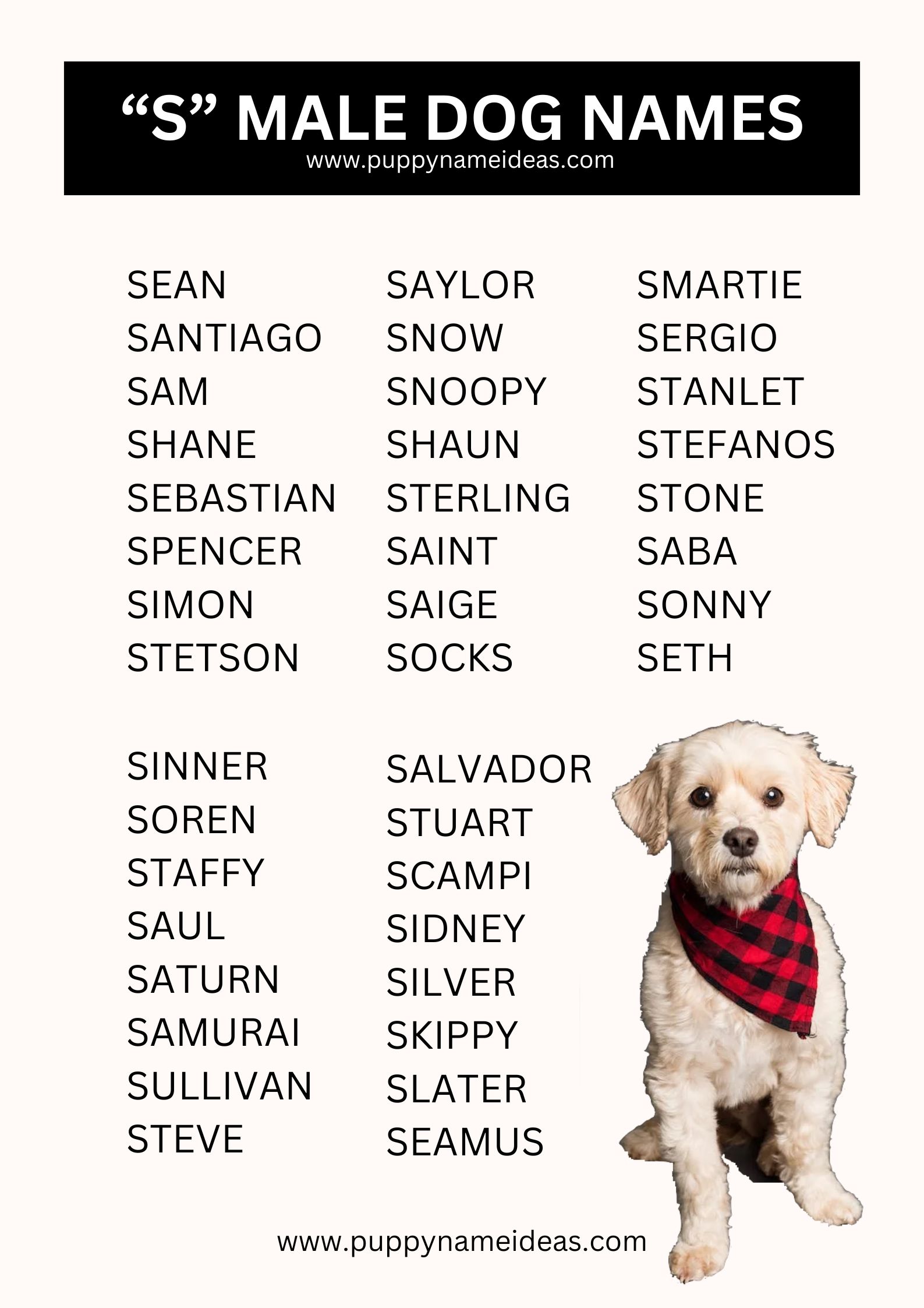 List Of Boy Dog Names That Start With S