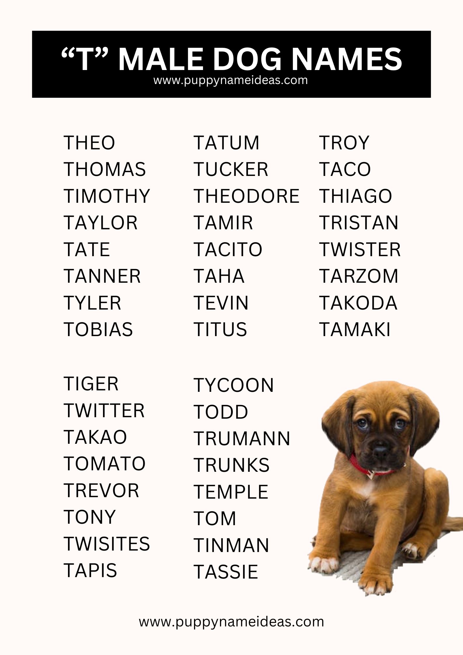 List Of Boy Dog Names That Start With T