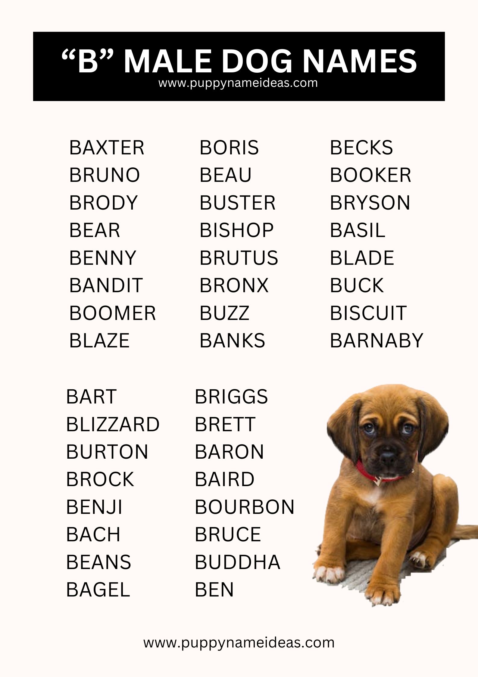 list of boy dog names that start with B
