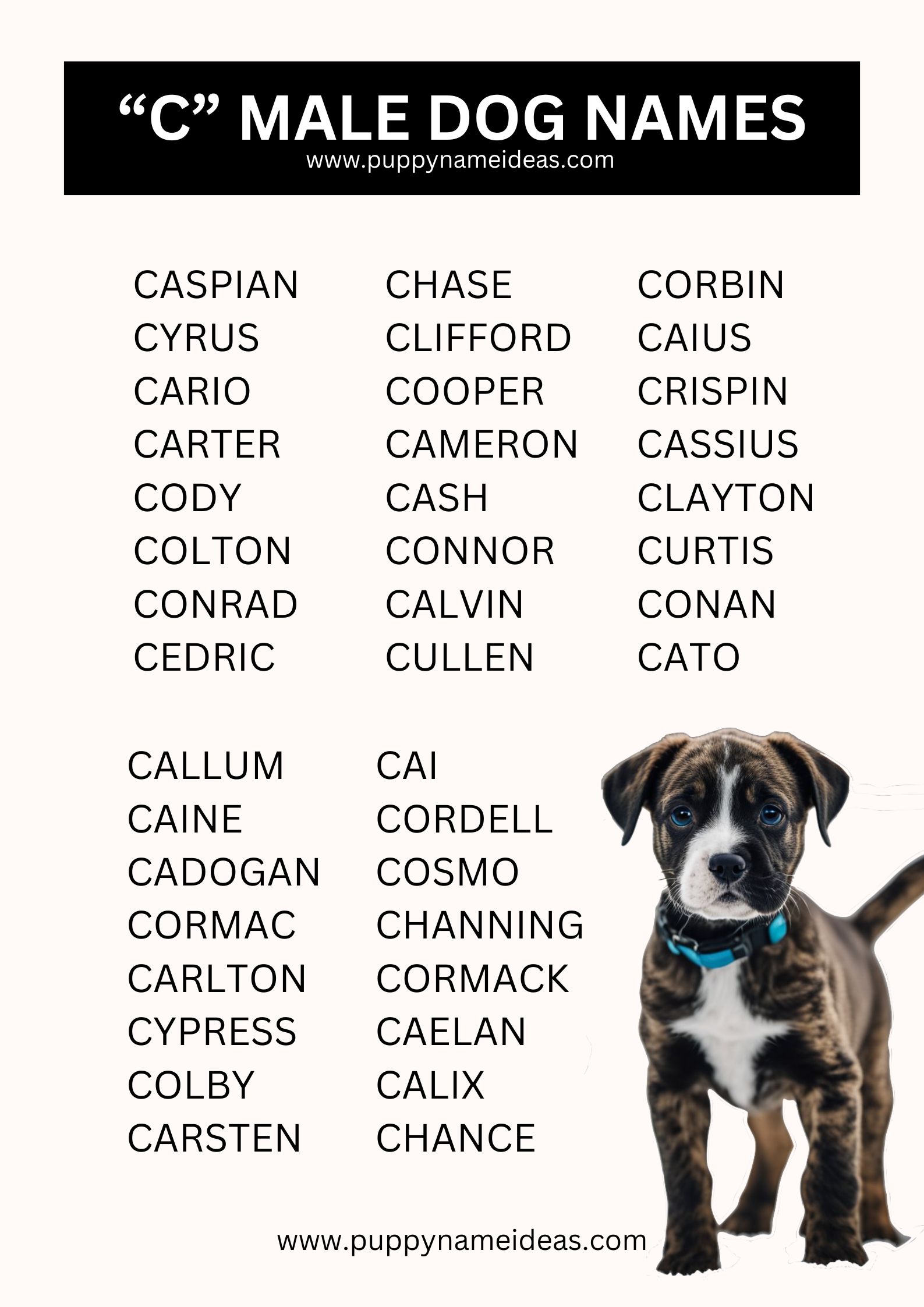 list of boy dog names that start with C