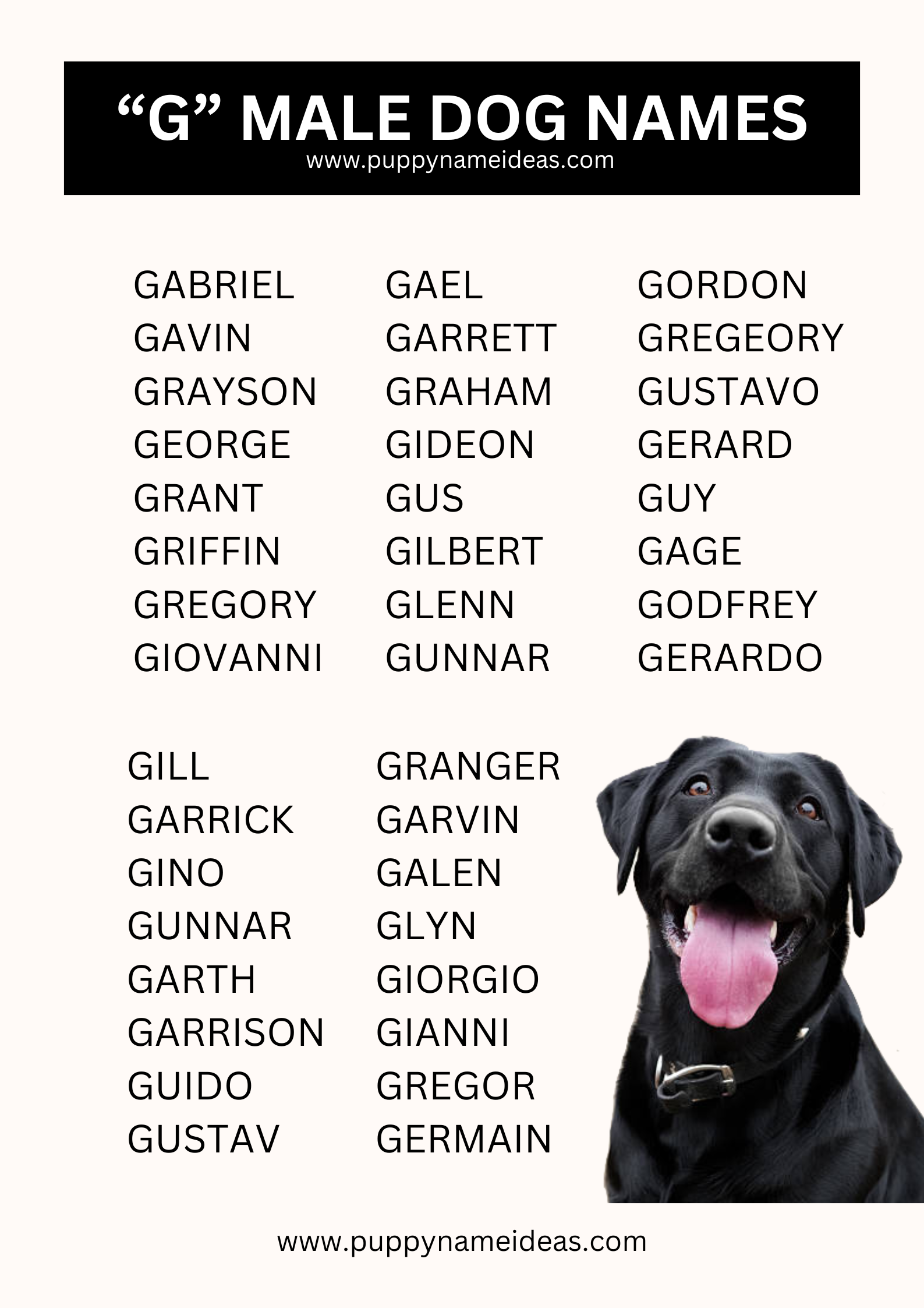 List Of Boy Dog Names That Start With G