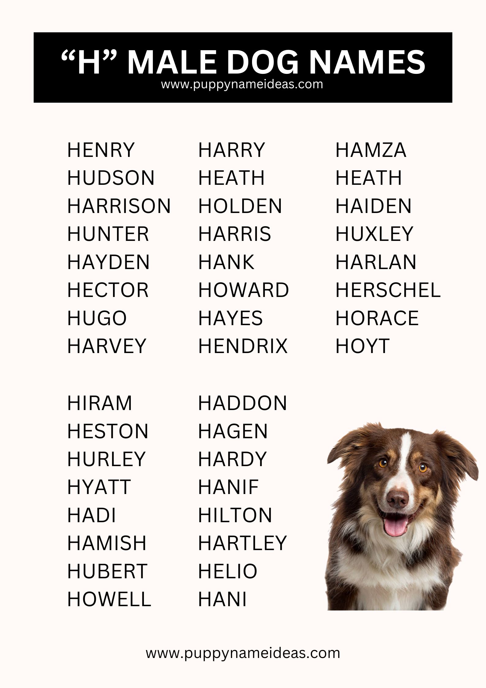 list of boy dog names that start with H