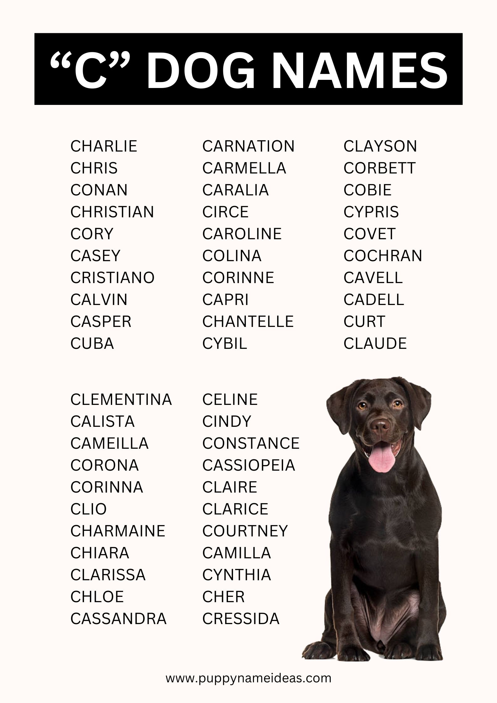 list of dog names that start with C