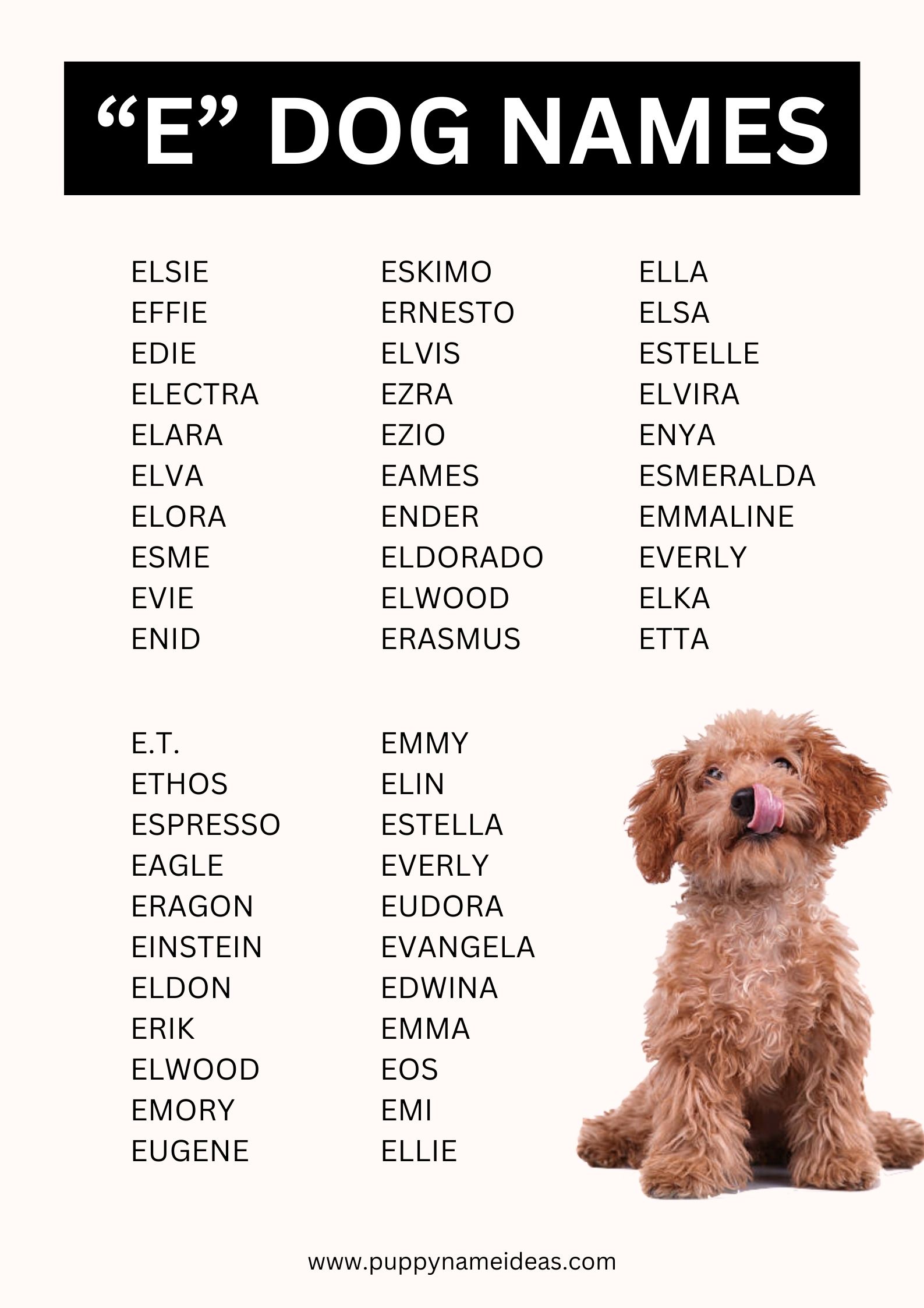 list of dog names that start with E
