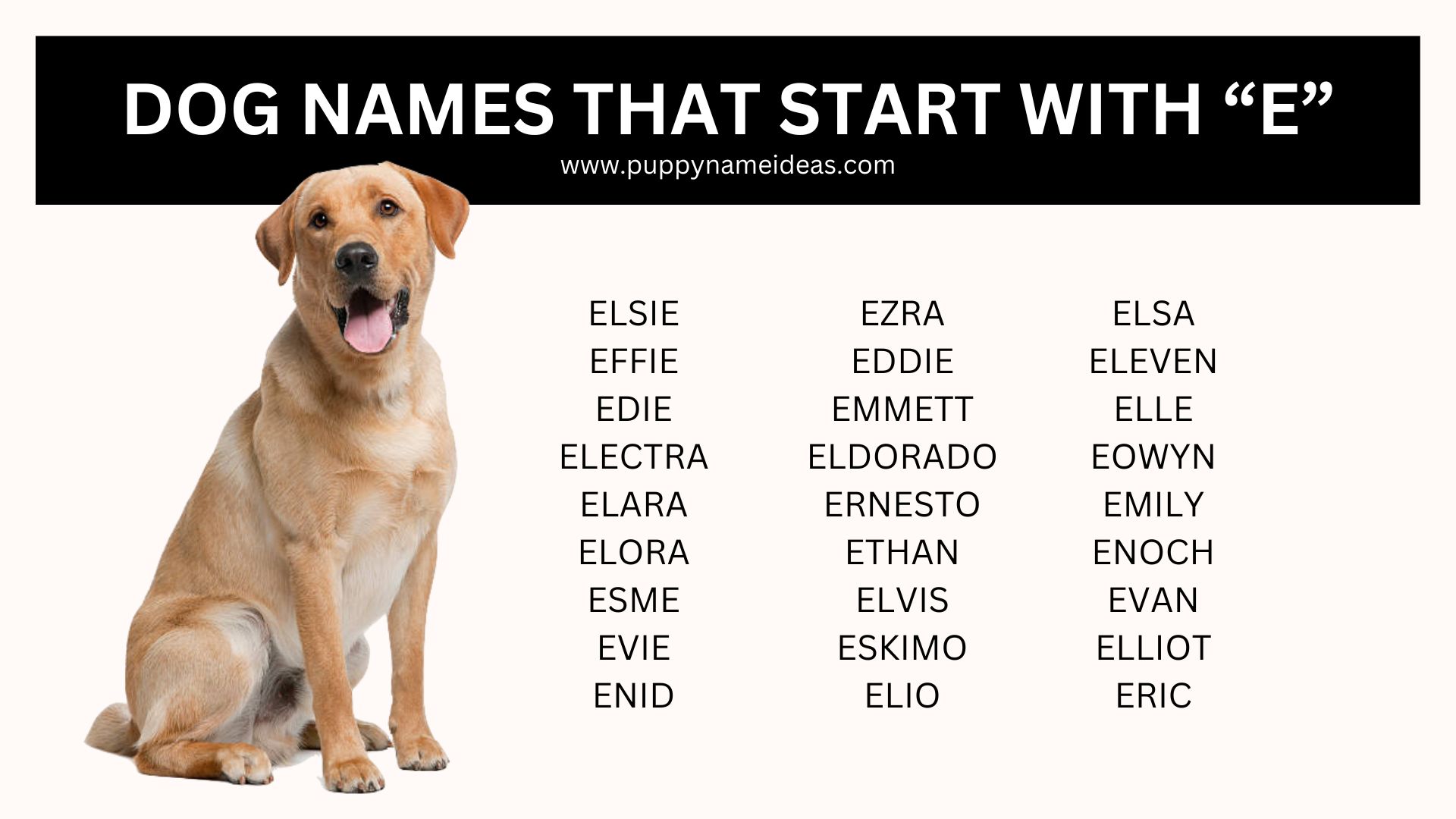 list of dog names that start with E