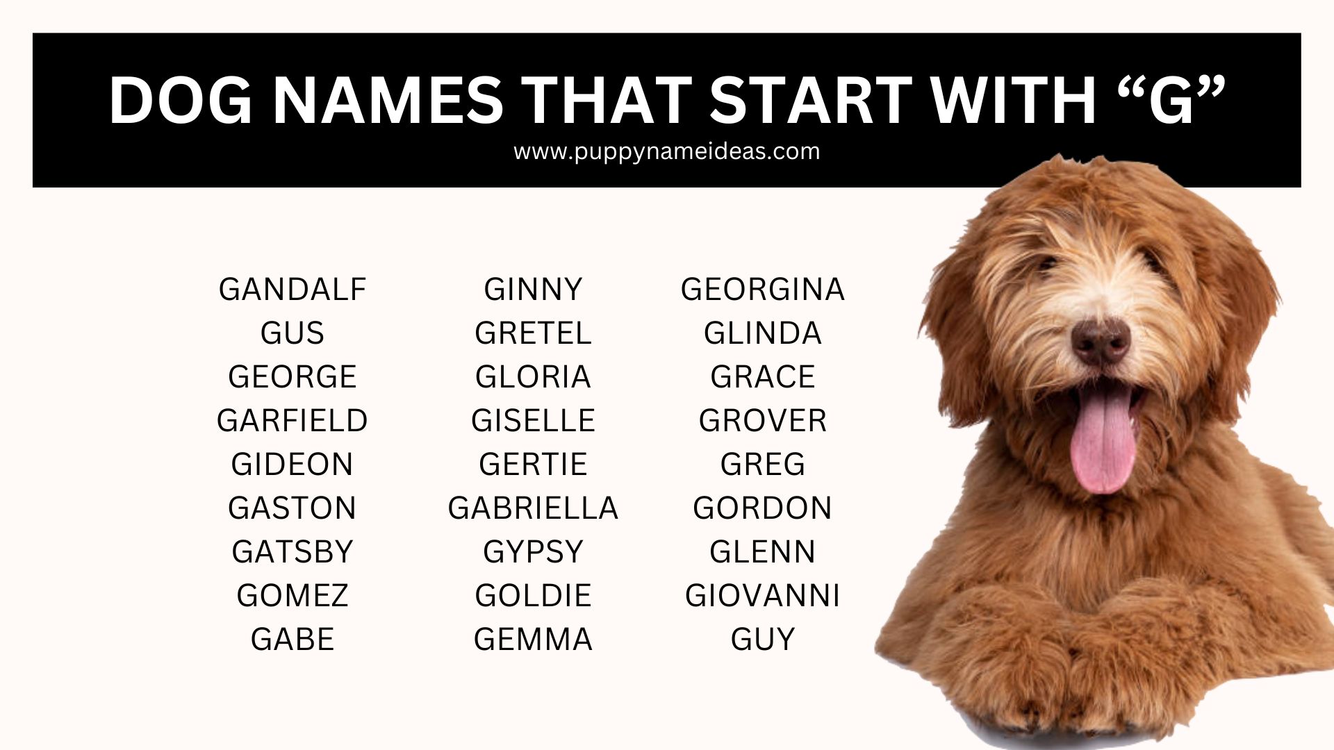 Dog Names That Start With G