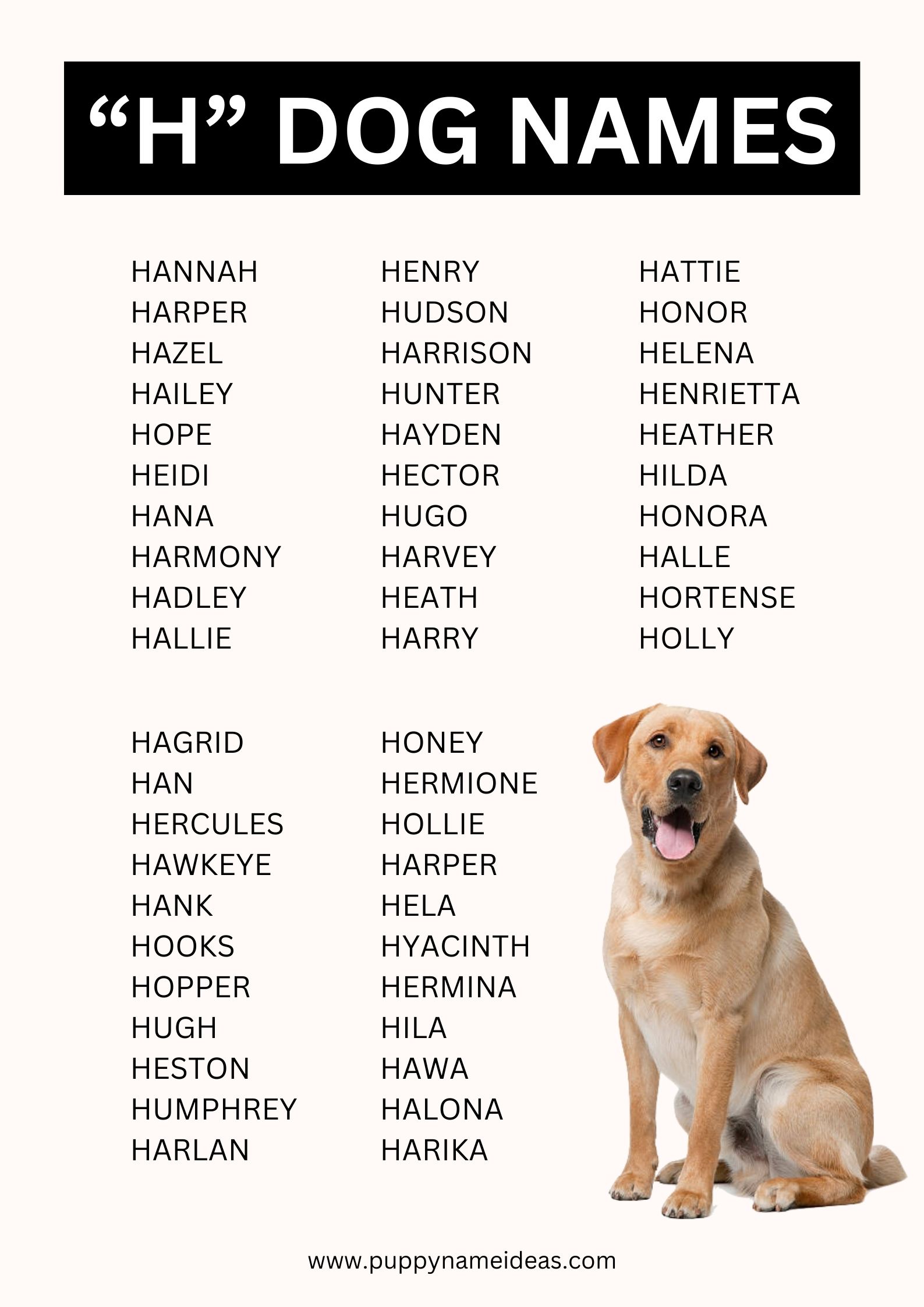 list of dog names that start with H